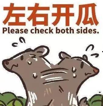 家暴吃瓜图片真实,暴力阴影下的家庭悲剧 第2张 家暴吃瓜图片真实,暴力阴影下的家庭悲剧 第2张